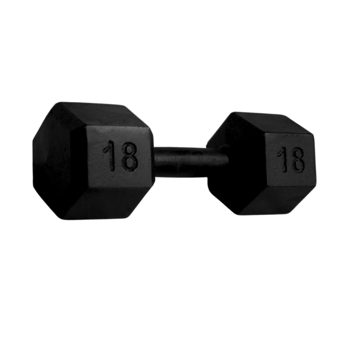 Dumbbell Sextavado Pintado
