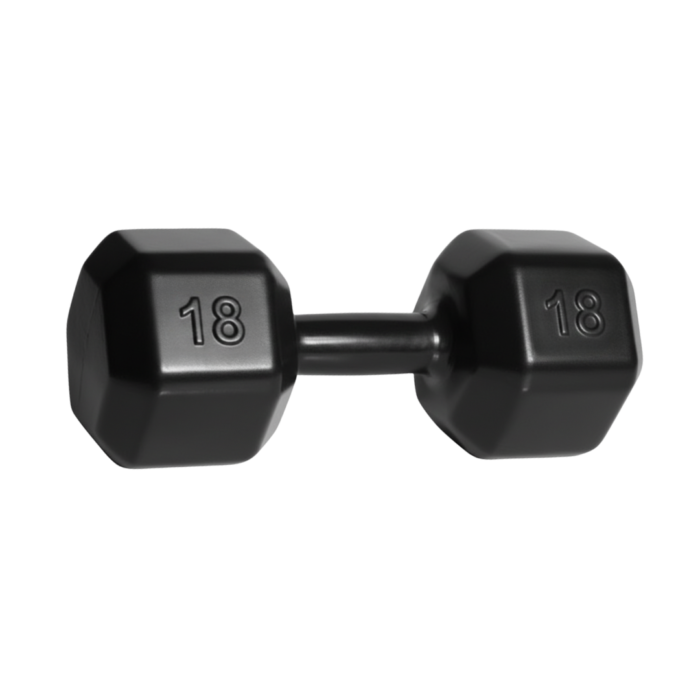 Dumbbell Sextavado Emborrachado